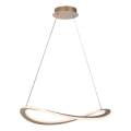 Rabalux - LED-pendel på wire LED/40W/230V 3000K
