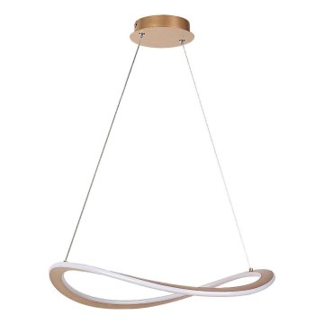 Rabalux - LED-pendel på wire LED/40W/230V 3000K
