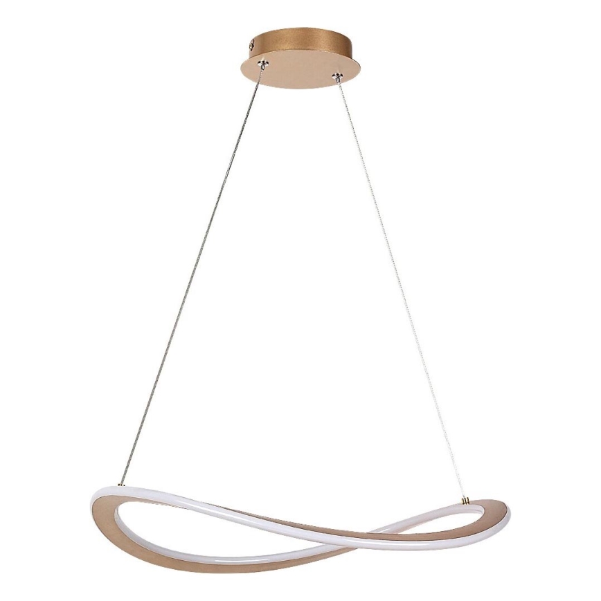 Rabalux - LED-pendel på wire LED/40W/230V 3000K