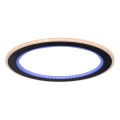 Rabalux - LED RGB dæmpbar loftlampe LED/22W/230V 3000-6500K Ø 45 cm + fjernbetjening