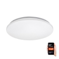 Rabalux - LED RGB Dæmpbar loftlampe LED/24W/230V Wi-Fi Tuya 3000-6500K 31 cm