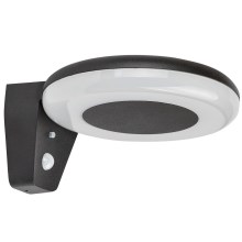 Rabalux - LED solcellelampe med sensor LED/4W/3,7V IP44