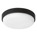 Rabalux - LED udendørs loftlampe LED/14W/230V IP54 sort