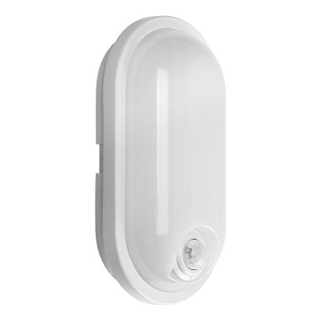 Rabalux - LED udendørs loftlampe med sensor LED/15W/230V IP65 hvid