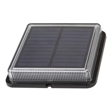 Rabalux - LED Udendørs solcellelampe LED/1,5W/3,2V 4000K 500 mAh IP67