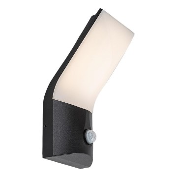 Rabalux - LED Udendørs væglampe med sensor LED/10W/230V IP54