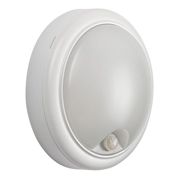 Rabalux - LED Udendørs væglampe med sensor LED/15W/230V IP54