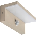 Rabalux - LED udendørs væglampe med sensor LED/9W/230V IP54 beige