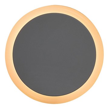 Rabalux - LED Vågelampe m. skumringssensor LED/0,3W/230V 3000K