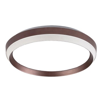 Rabalux - Reservedel til loftarmatur FONTANA