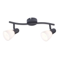 Rabalux - Spotlampe 2xE14/40W/230V