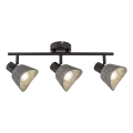 Rabalux - Spotlampe 3xE14/10W/230V