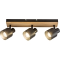 Rabalux - Spotlampe 3xE14/10W/230V