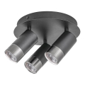 Rabalux - Spotlampe ZIRCON 3xGU10/5W/230V