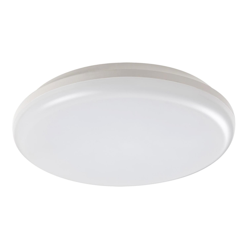 Rabalux - Udendørs LED loftslampe LED/24W/230V IP64