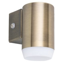 Rabalux - Udendørs LED væglampe LED/4W/230V  IP44