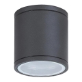 Rabalux - Udendørs loftlampe 1xGU10/35W/230V IP54