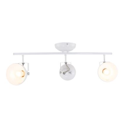Reality - Spotlampe GINA 3xE14/40W/230V hvid