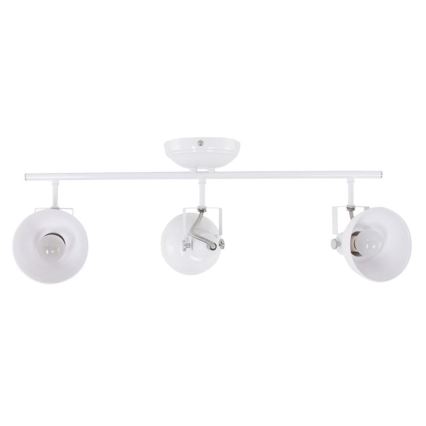 Reality - Spotlampe GINA 3xE14/40W/230V hvid