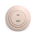 Reblig - Retro USB-udtag A+C med ramme, gammelrosa