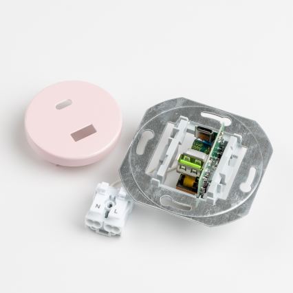 Reblig - Retro USB-udtag A+C med ramme, gammelrosa