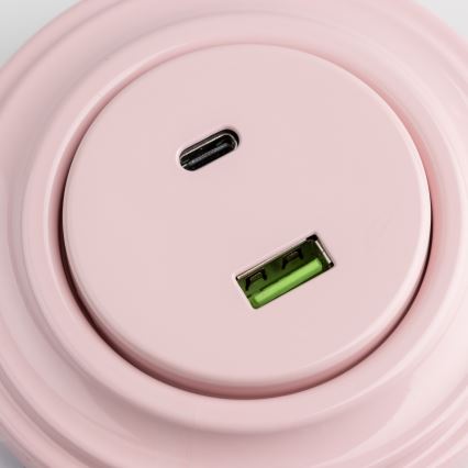 Reblig - Retro USB-udtag A+C med ramme, gammelrosa