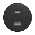 Reblig - Retro USB-udtag A+C uden ramme, anthracit