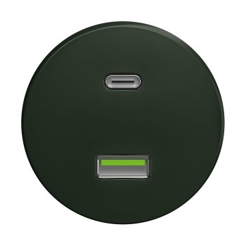 Reblig - Retro USB-udtag A+C uden ramme, grøn