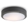 RED - Design Rendl - R10382 - Udendørs loftlampe SONNY 2xE27/18W/230V IP54