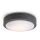 RED - Design Rendl - R10382 - Udendørs loftlampe SONNY 2xE27/18W/230V IP54