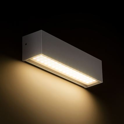 RED - Design Rendl - R13527 - Udendørs LED væglampe CAMARGUE LED/6W/230V IP65