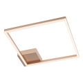 Redo 01-1639 - LED dæmpbar loftlampe KLEE LED/30W/230V 45x45 cm guld
