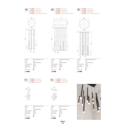 Redo 01-2034 - LED væglampe MADISON 4xLED/4W/230V kobber