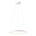Redo 01-2672 - LED dæmpbar lysekrone på wire ICONIC LED/50W/230V Ø 58 cm hvid