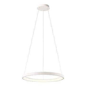 Redo 01-2672 - LED dæmpbar lysekrone på wire ICONIC LED/50W/230V Ø 58 cm hvid