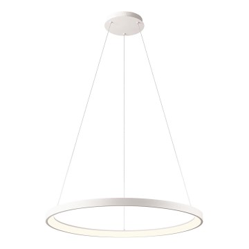 Redo 01-2675 - Dæmpbar LED-lysekrone på wire ICONIC LED/60W/230V Ø 78 cm hvid