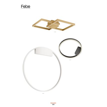 Redo 01-2817 - LED vægspot dæmpbar FEBE LED/24W/230V guldfarvet