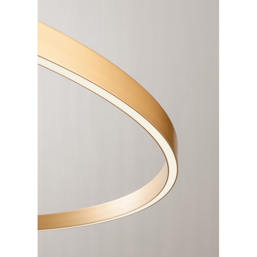 Redo 01-2835 - LED Dæmpbar vægarmatur FEBE LED/24W/230V guld