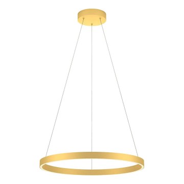 Redo 01-2865 - Dæmpbar LED-pendel med kabelophæng FEBE LED/37W/230V guldfarvet