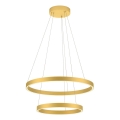 Redo 01-2889 - LED pendel dæmpbar FEBE LED/62W/230V guldfarvet