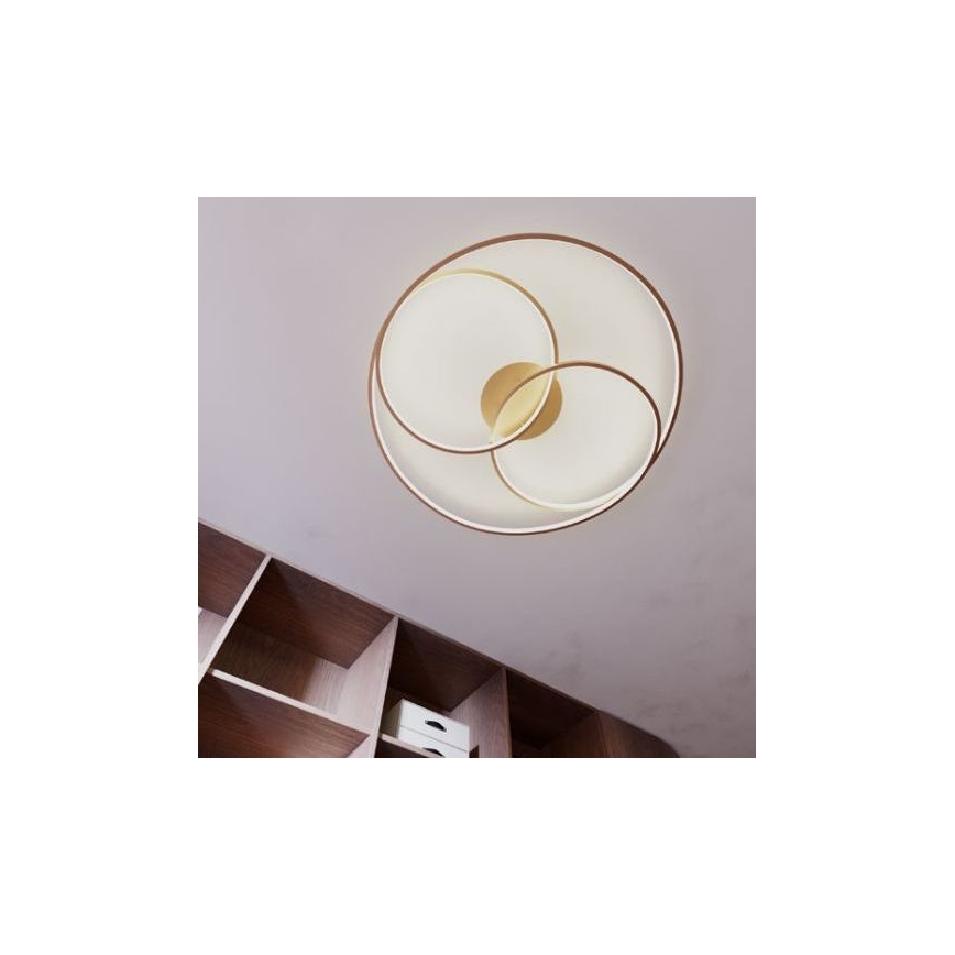 Redo 01-2973 - LED loftlampe CENTRIX LED/92W/230V bronze