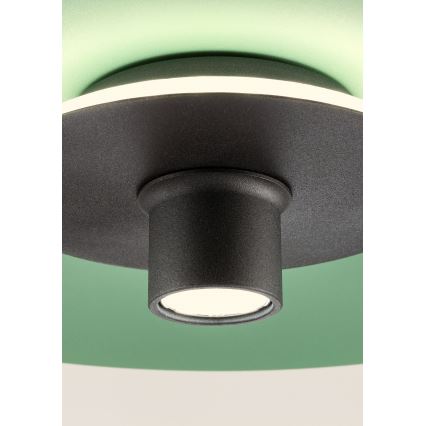 Redo 01-3019 - LED-lysekrone på kabel LARS LED/14W/230V + LED/10W Ø 60 cm CRI 90 grøn