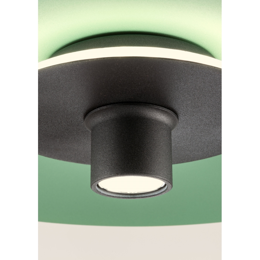 Redo 01-3019 - LED-lysekrone på kabel LARS LED/14W/230V + LED/10W Ø 60 cm CRI 90 grøn