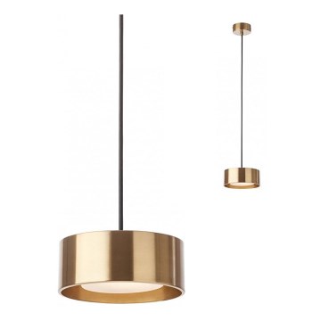 Redo 01-3100 - LED pendel PUNKT LED/6W/230V diameter 15 cm messing