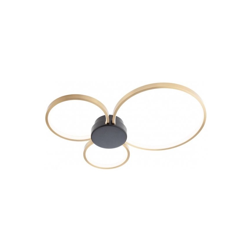 Redo 01-3105 - LED loftlampe ATOM LED/20W/230V