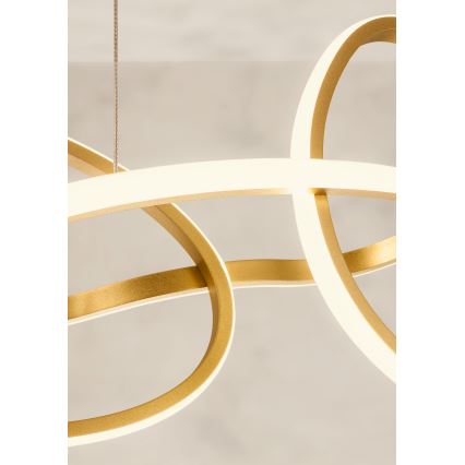 Redo 01-3392 - LED dæmpbar pendel på wire BIAS LED/120W/230V 3000/4500/6500K CRI 90 guld