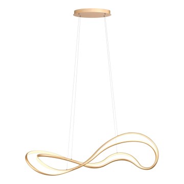 Redo 01-3598 - LED-dæmpbar pendel på kabel TEMPEST LED/58W/230V, guld