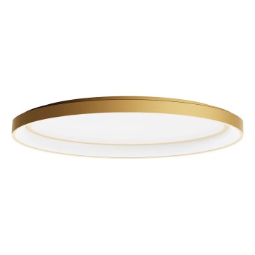 Redo 01-3807 - Dæmpbar LED-loftlampe NOBU LED/60W/230V 3000/4000K CRI 90 guld