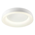Redo 01-3941 - LED-loftlampe DIP LED/40W/230V 2700/3000/4000/5000/6500K CRI 90 Ø 62,4 cm hvid