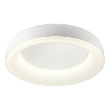 Redo 01-3941 - LED-loftlampe DIP LED/40W/230V 2700/3000/4000/5000/6500K CRI 90 Ø 62,4 cm hvid
